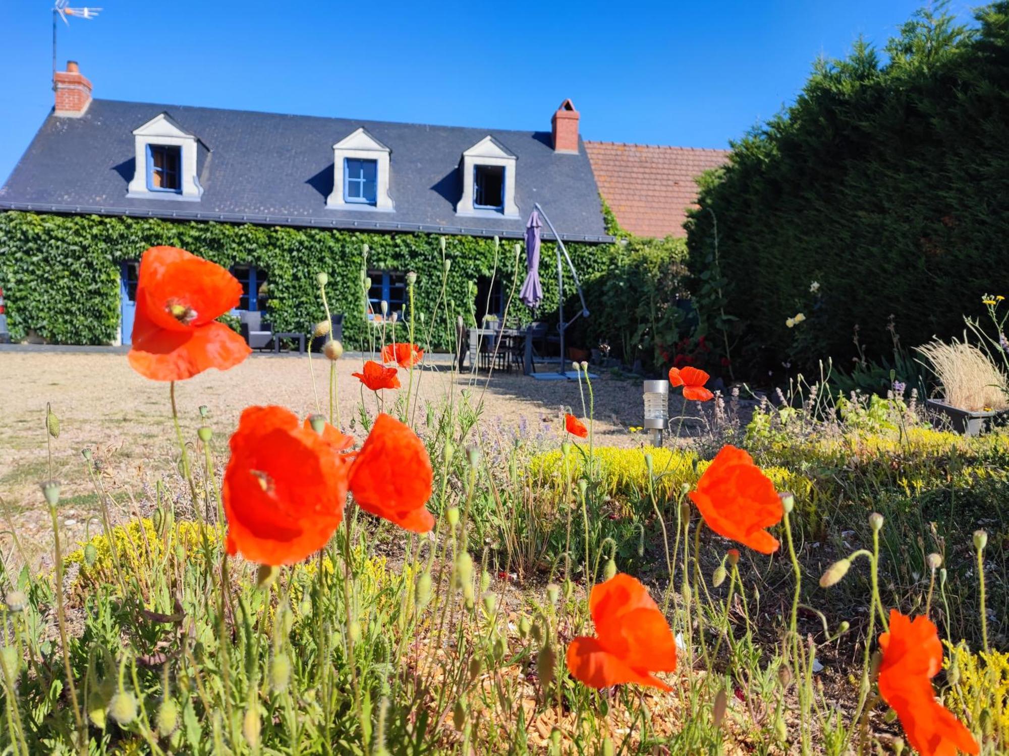 Le Clos Champetre Longué Exterior photo